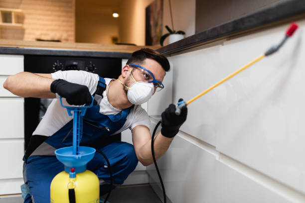 Flea Control Services in Newark, OH
