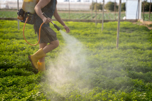 Best Mosquito Control Services  in Newark, OH