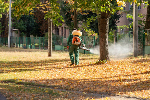 Best Flea Control Services  in Newark, OH