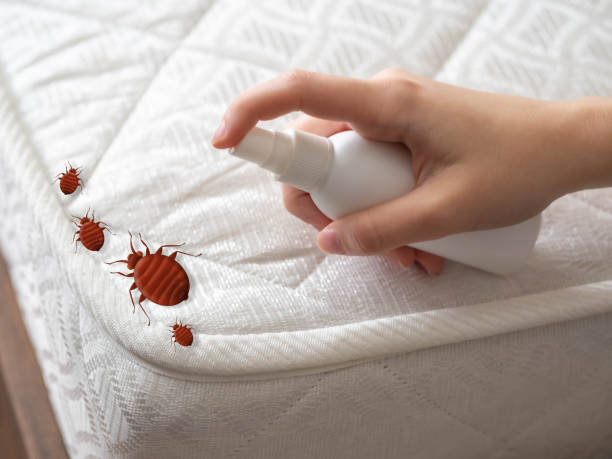 Best Local Pest Control Services  in Newark, OH