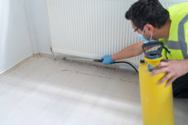 Best Affordable Pest Control Services  in Newark, OH